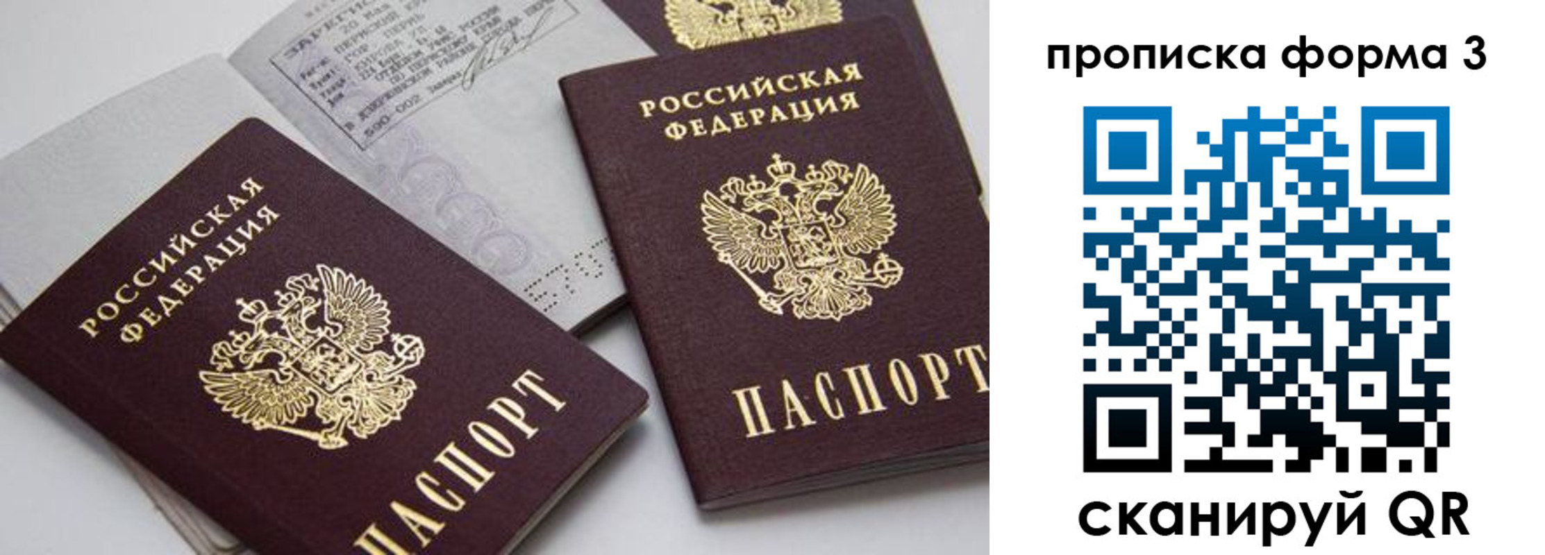 прописка 2025 в Балашихе